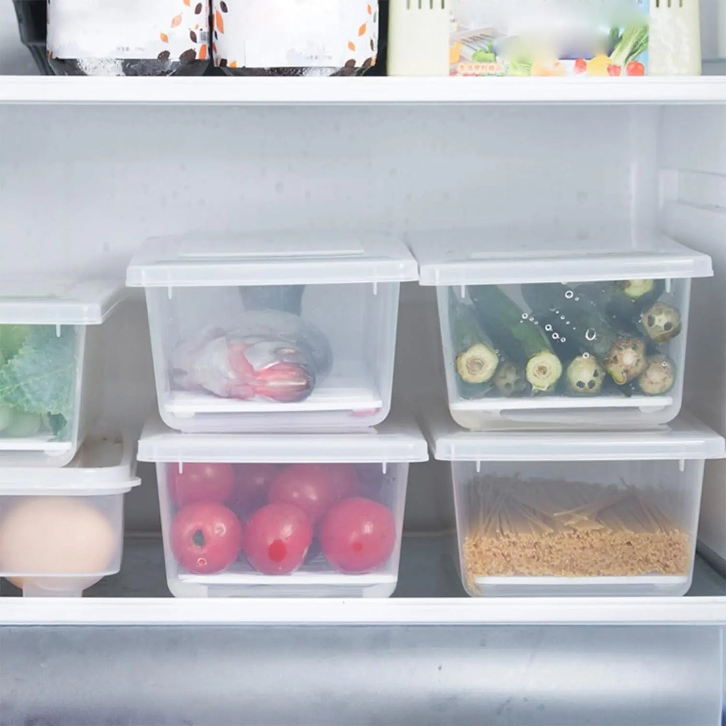 1500ml Food Storage Container with Drain Plate & Lid – Pack of 1 - Chestore