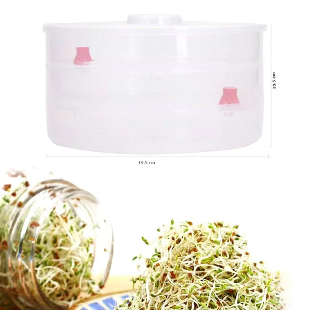 3 - Compartment Plastic Sprout Maker – Efficient Seed Sprouting for Home Use - Chestore