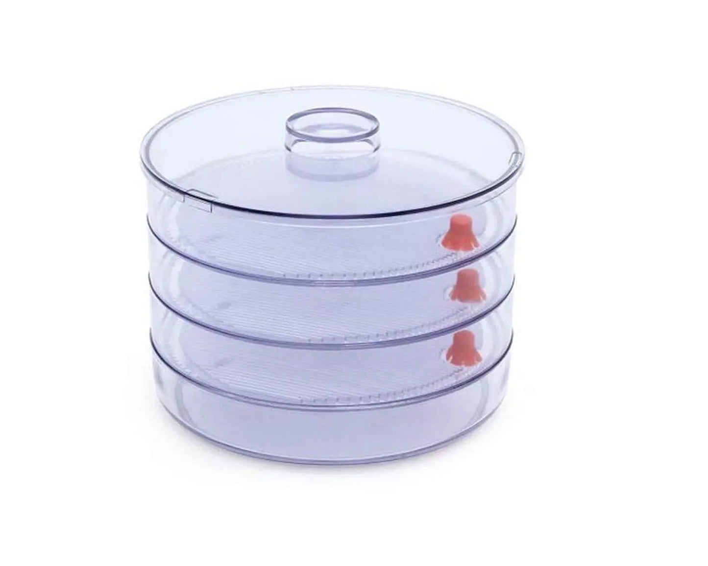 4 - Compartment Plastic Sprout Maker – Efficient Seed Sprouting for Healthy Meals - Chestore