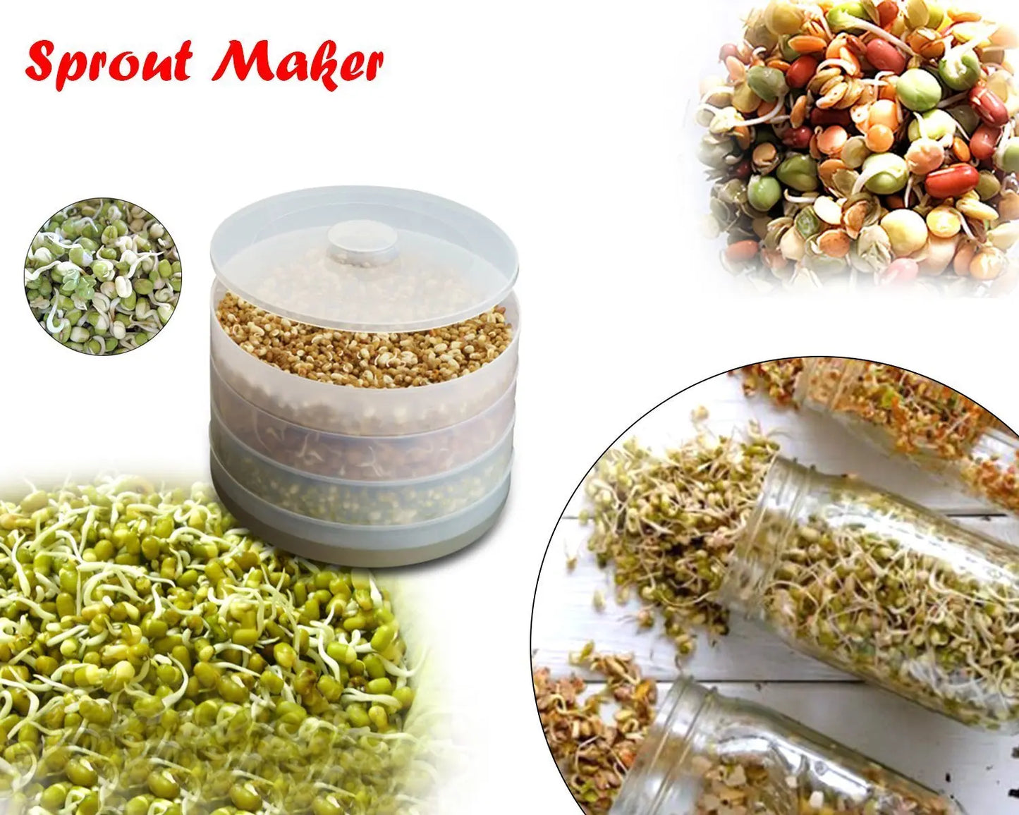 4 - Compartment Plastic Sprout Maker – Efficient Seed Sprouting for Healthy Meals - Chestore