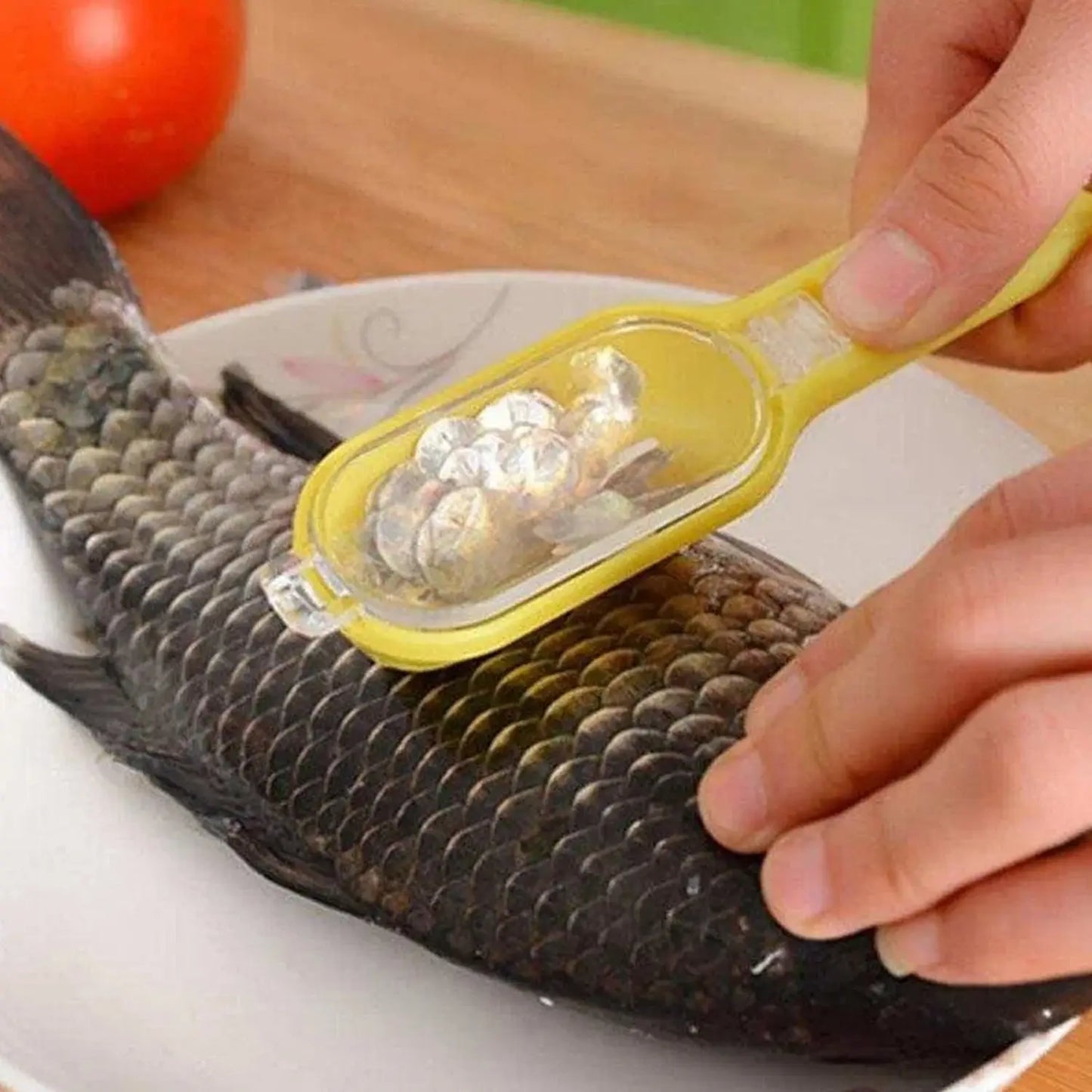 Plastic Fish Scales Grater Scraper with Cover – Easy Fish Cleaning Tool - Chestore