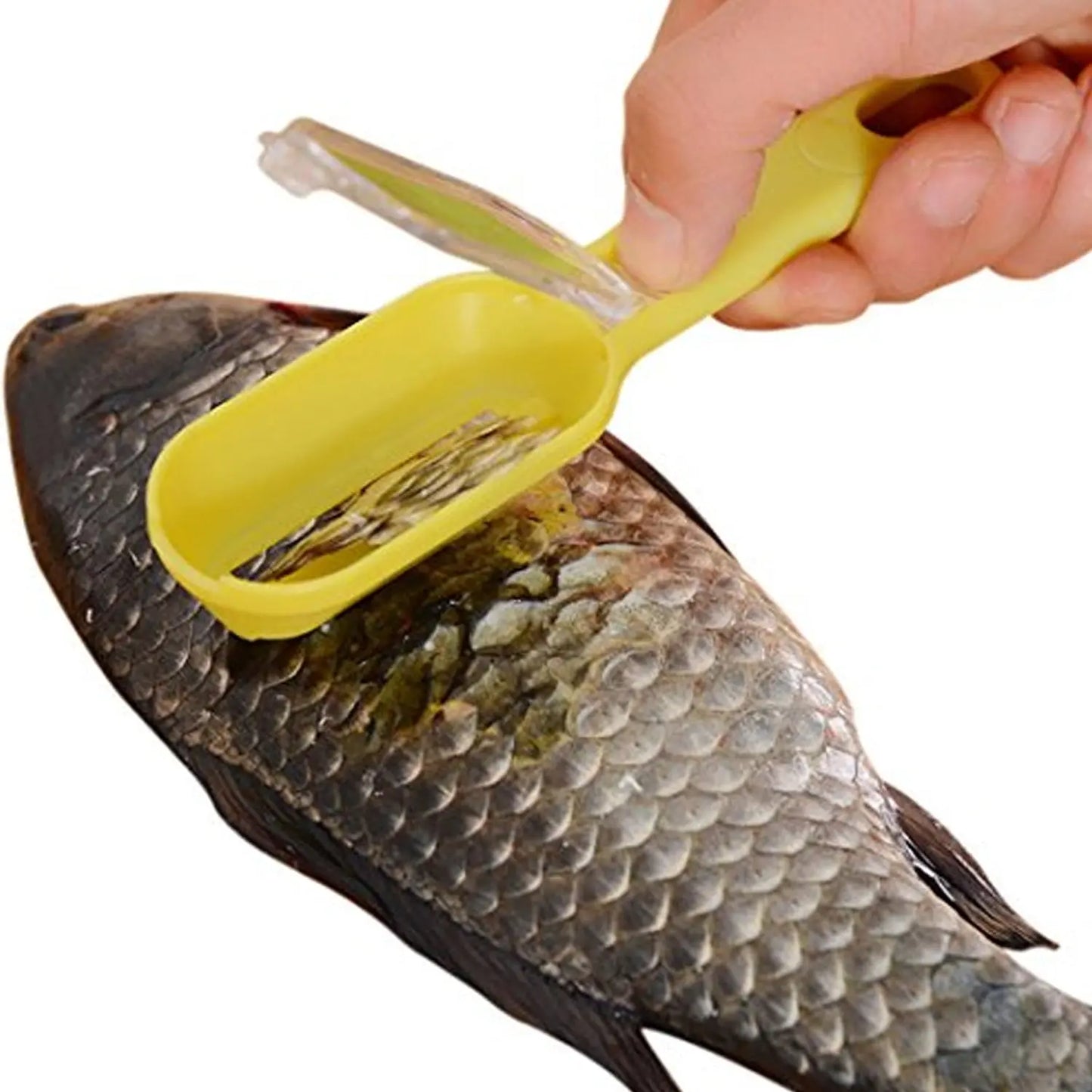 Plastic Fish Scales Grater Scraper with Cover – Easy Fish Cleaning Tool - Chestore