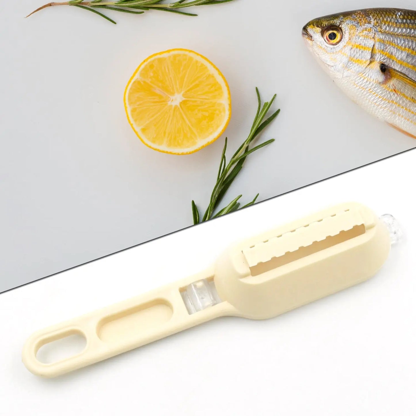 Plastic Fish Scales Grater Scraper with Cover – Easy Fish Cleaning Tool - Chestore