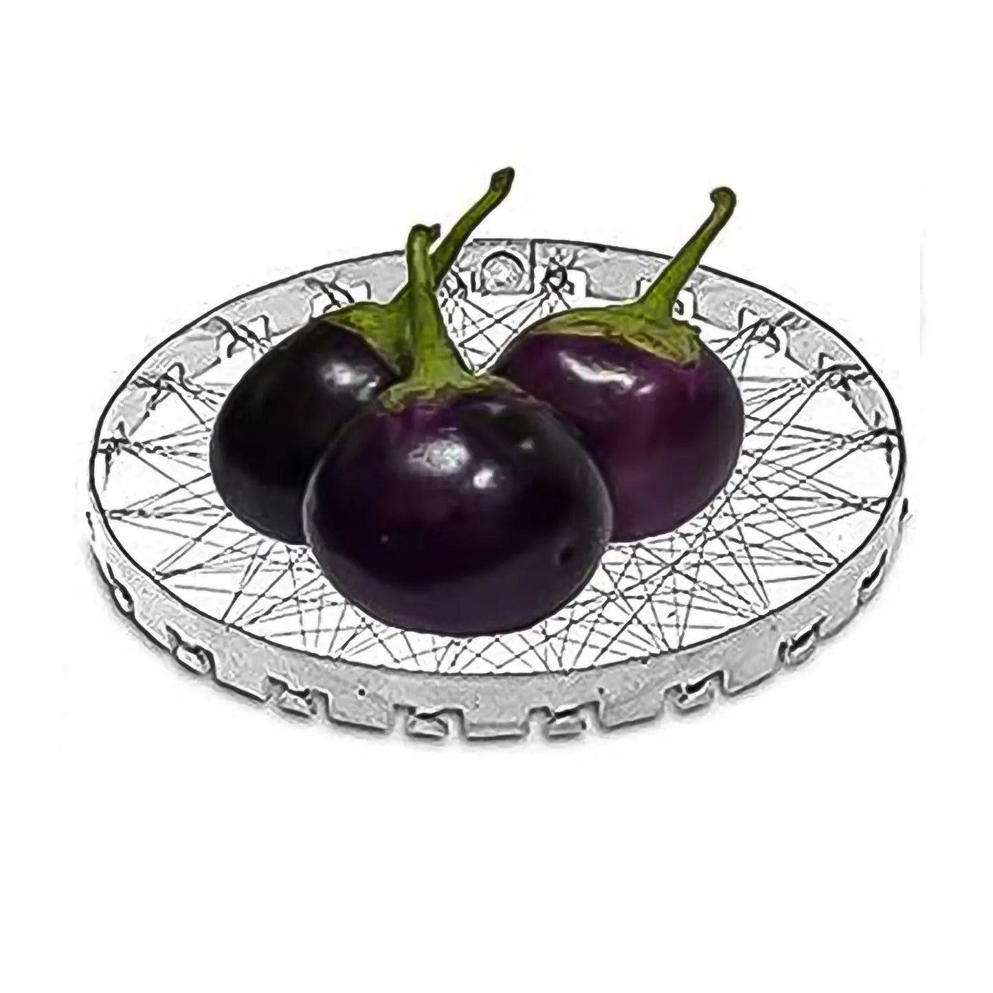 Stainless Steel Grill Jalli | Mini Tandoor for BBQ & Roasting - Chestore